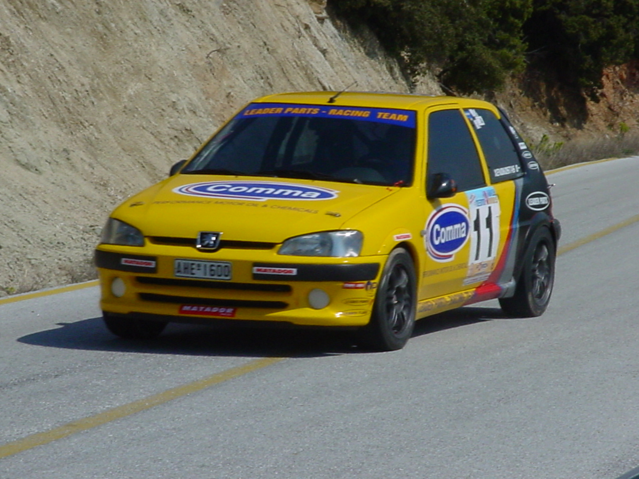 ANABASH TOXOTES1 018