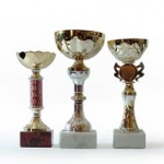 Ράλλυ Βορείου Ελλάδος 2006