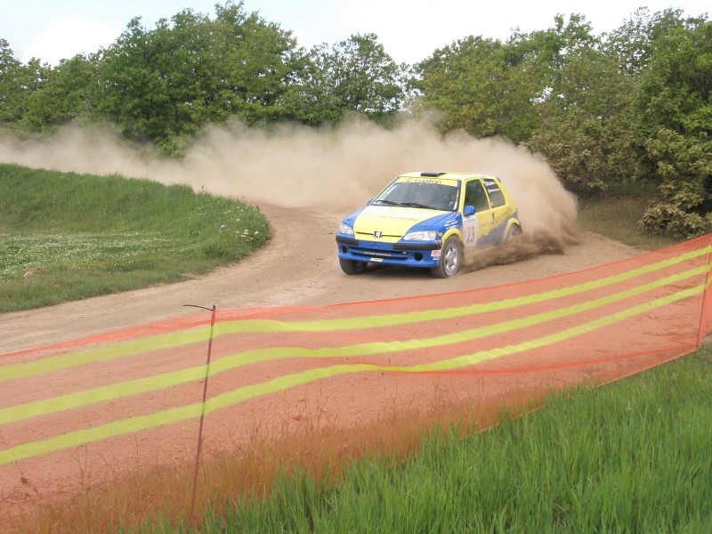 gaston 29o rally fthiotidos grameni